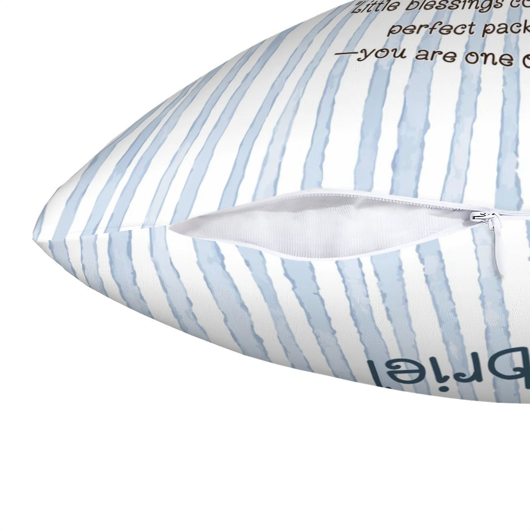 Blue Carousel Throw Pillow Covers