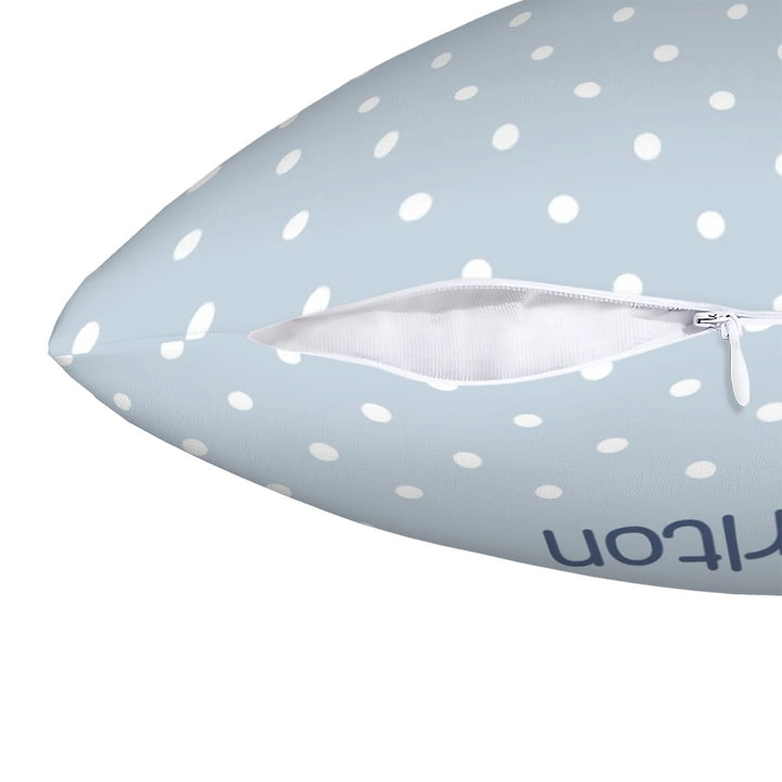 Dinosaur and Treasure Throw Pillow Covers