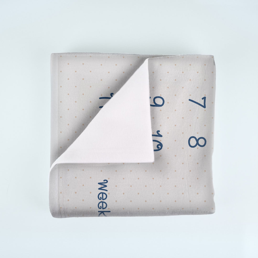 Blue Carousel Milestone Blanket