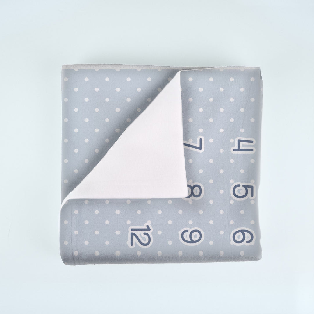 Blue Dinosaur Milestone Blanket