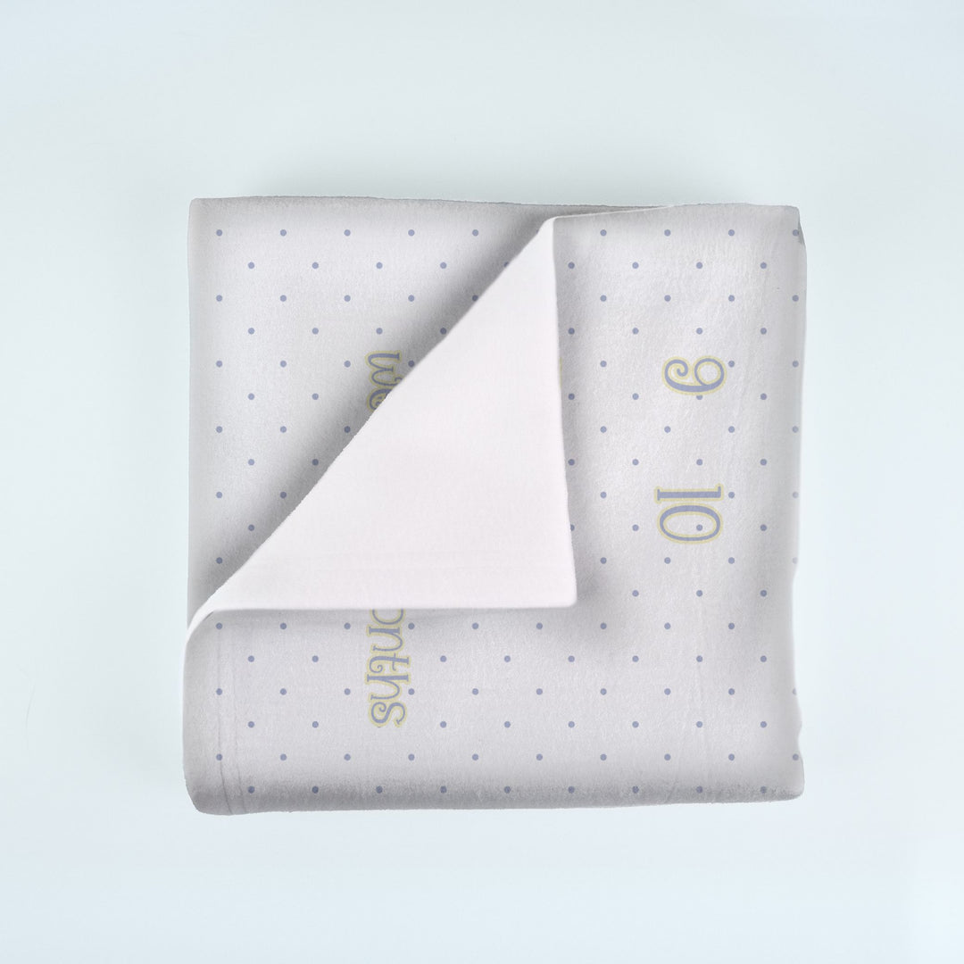 Fairytale Goose Milestone Blanket